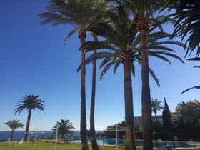 Apartamentos Calma Rentals