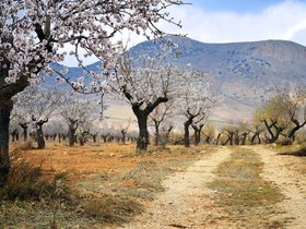 Casa Sol