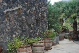 Finca Wapa