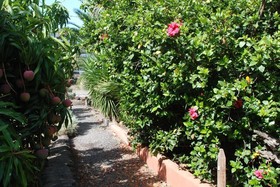 Finca Wapa