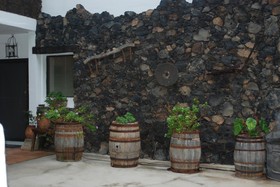 Finca Wapa