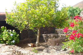 Casa Rural Aborigen Bimbache