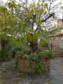 Apartamentos Rurales Tía María