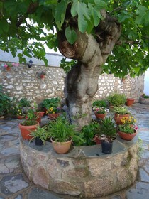 Apartamentos Rurales Tía María
