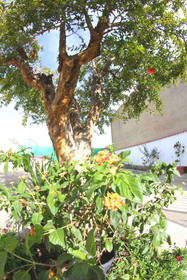 Casa Rural Los Mayorales