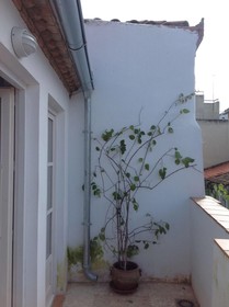 Casa Nidos