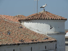 Apartamentos Barbancho