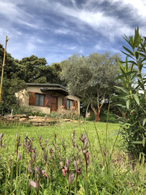 La Cerca Del Alcornoque