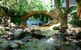 Casas Rurales Acebuche