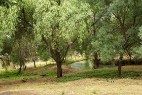 Las Cabanas del Monasterio
