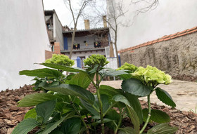 Alborada Apartamentos Rurales