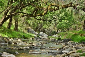 Ramajal Rural