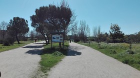 Rambla Emerita