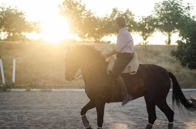 La Dehesa De Don Pedro