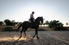 La Dehesa De Don Pedro