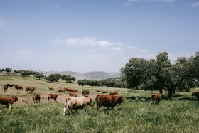 La Dehesa De Don Pedro