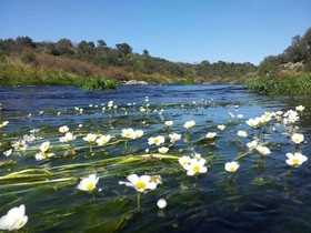 Finca La Ramallosa