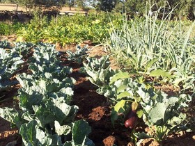 Finca La Ramallosa
