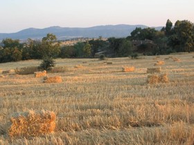 Finca La Ramallosa