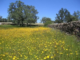 Finca La Ramallosa