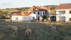 Apartamentos Estrellas De Monfrague