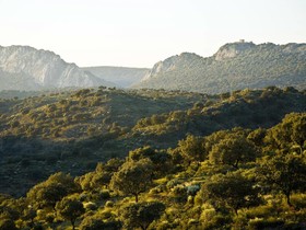 Casa Babel Monfragüe