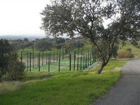 Hospederia Parque de Monfrague