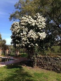 La Macera