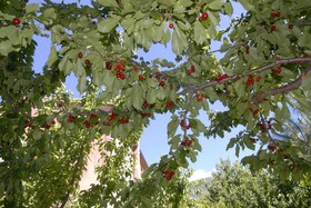 Apartamentos Rurales Los Vergeles