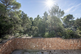 Bosc I Sol Vt