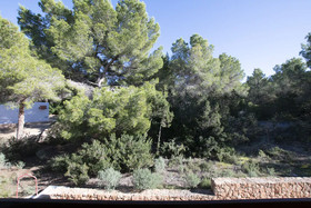 Bosc I Sol Vt