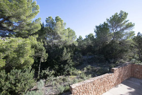 Bosc I Sol Vt