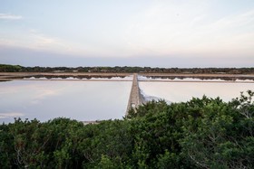 Cas Saliners - Ses Illetes