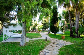 Paraiso de los Pinos