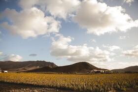 Verdeaurora Bio Farm
