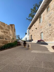 Hotel Nande