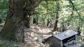 A Carbina Alojamiento Rural En Courel