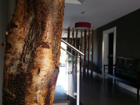 Hotel A Finca