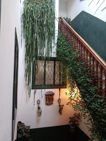 El Bordón De La Casa Batallón