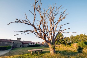 Casa Grande de Rosende