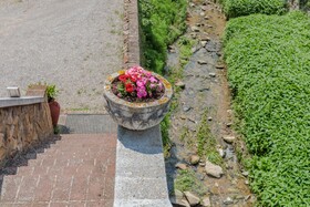 Flateli Anglès