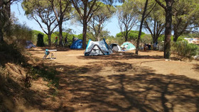 Camping Moby Dick