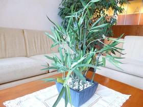 Hotel Rambla Figueres
