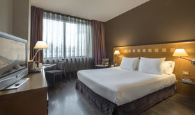 Hotel Carlemany
