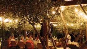 Hotel Mas Renart