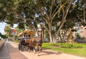 Le Petit Palü Las Palmas