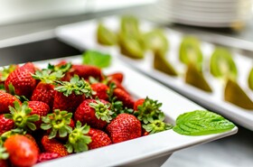 Crisol Alisios Canteras