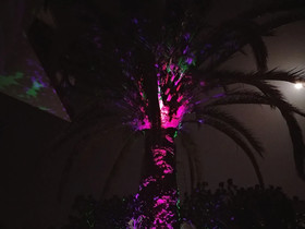 Gran Canaria Guesthouse