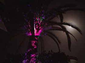 Gran Canaria Guesthouse