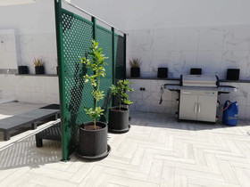 Guest house San Roque